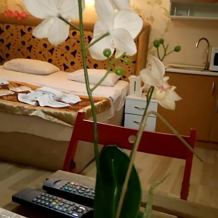 Økonomihotel Mini House 2*