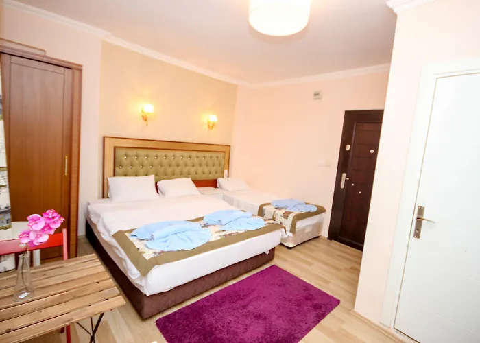 Mini House Økonomihotel Istanbul