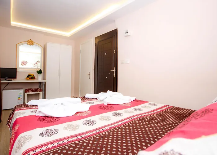 Отель эконом класса Mini House Стамбул