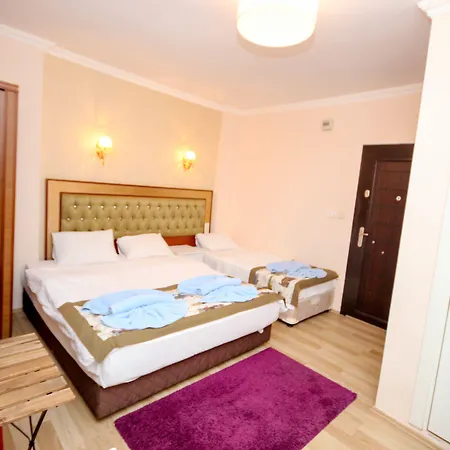 Mini House Ekonomihotell Istanbul